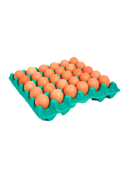 Ovo Vermelho C/30 Becker